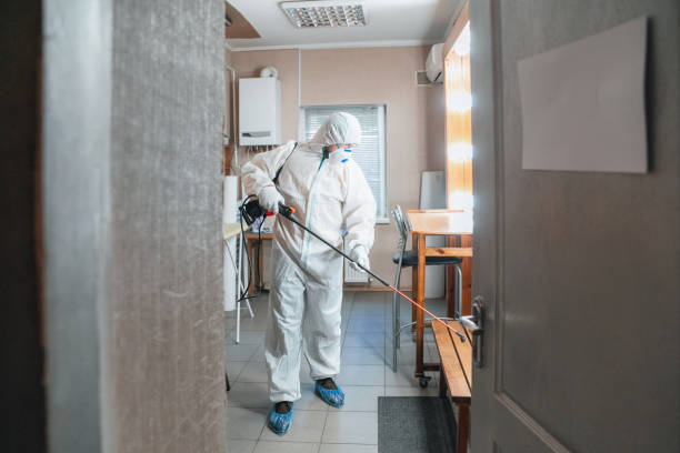 Best Emergency Mold Remediation  in Canby, OR