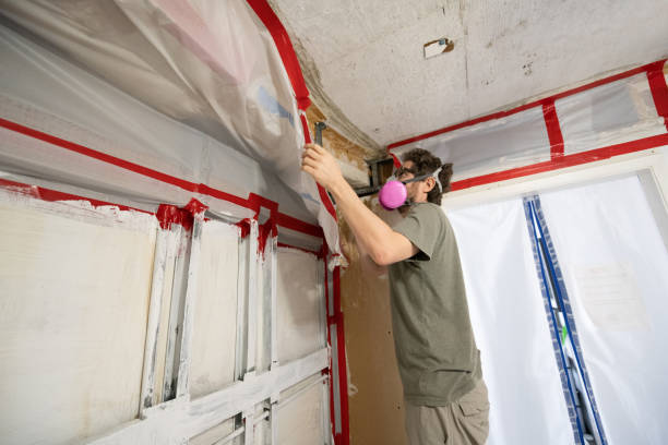 Mold Remediation for Rental Properties in Canby, OR