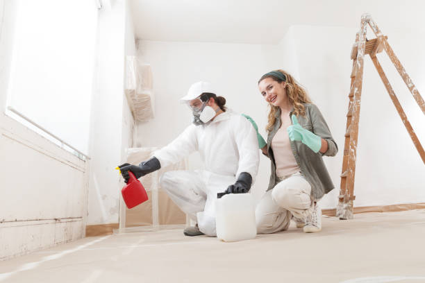 Best Basement Mold Removal  in Canby, OR