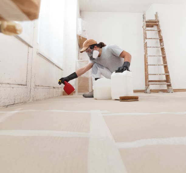 Best Attic Mold Removal  in Canby, OR